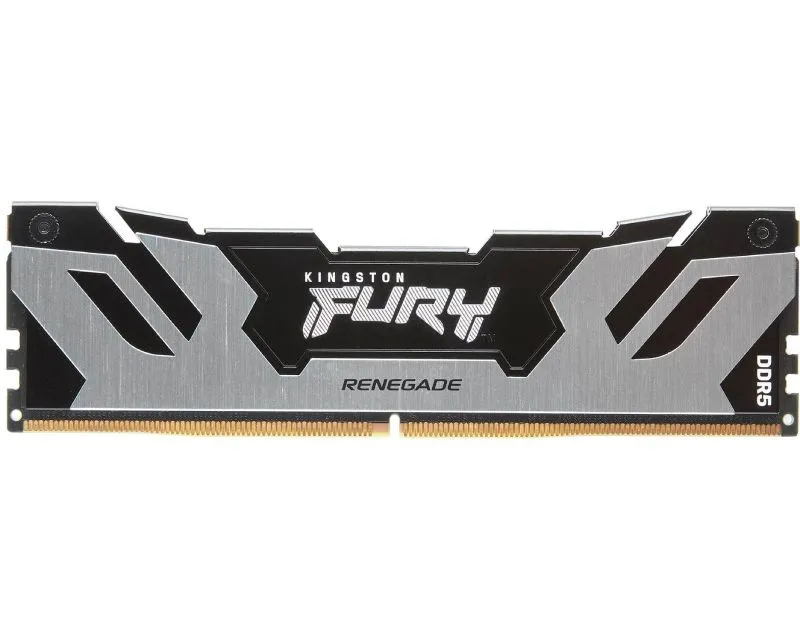 KINGSTON Ram memorija DIMM DDR5 48GB KF564C32RS-48 FURY Renegade Silver XMP