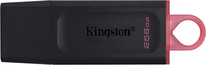 KINGSTON USB flash memorija 256GB USB3.2 DTX/256GB