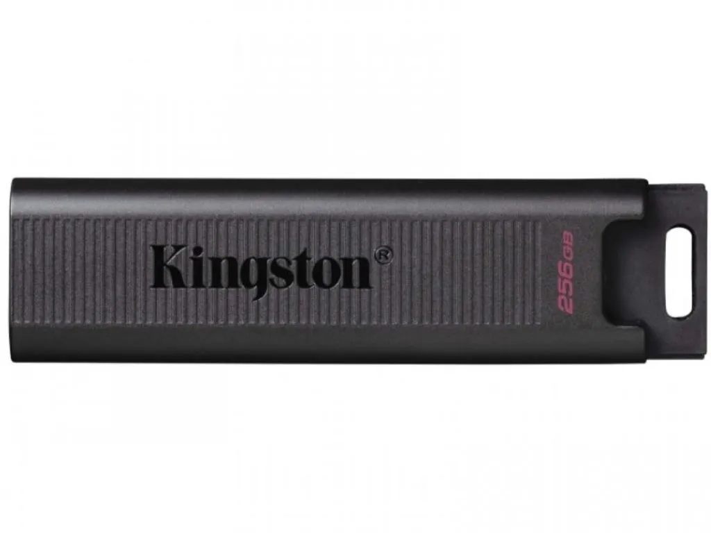 KINGSTON USB flash memorija 256GB/DTMAX, crna
