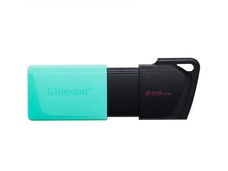 KINGSTON Usb memorija DTXM/256GB