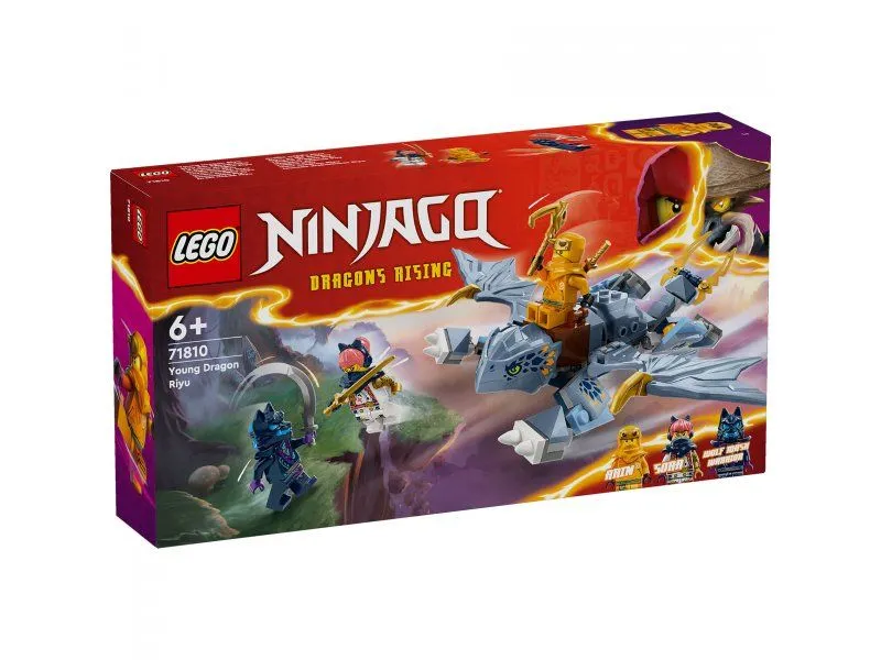 LEGO 71810 Mladi zmaj Riju
