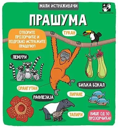 Mali istraživači: Prašuma