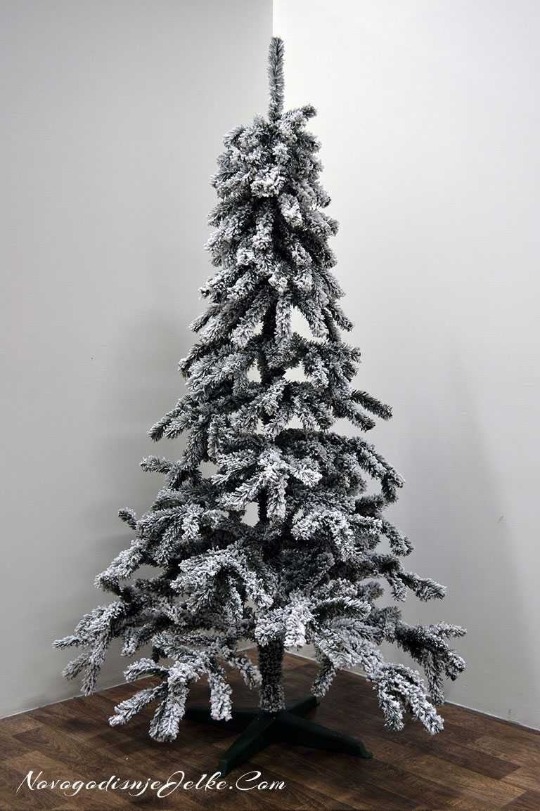 Novogodišnja jelka Kraljevska 180 cm