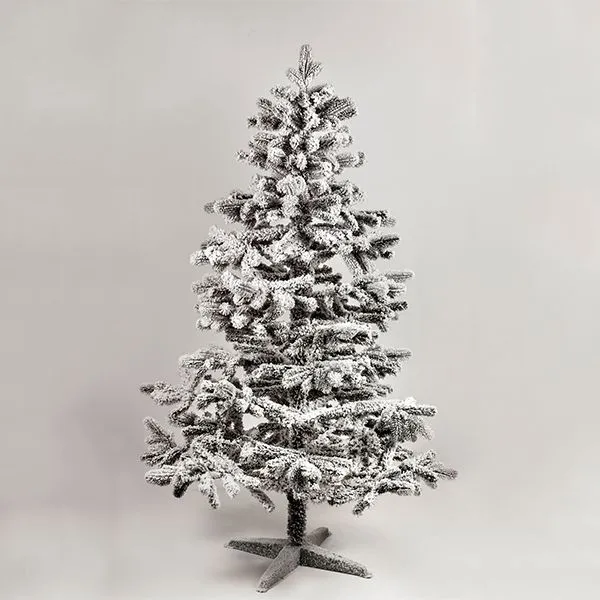 Novogodišnja jelka Kraljevska 220 cm