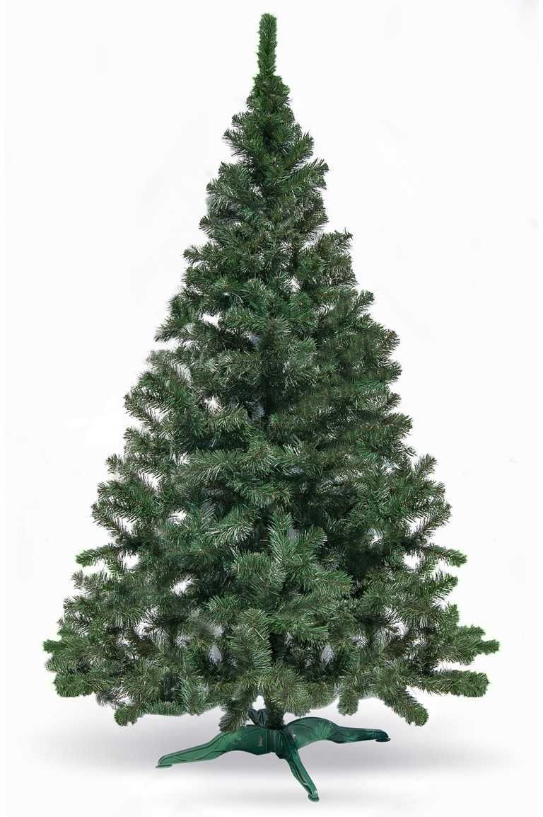 Novogodišnja jelka Zelena jela 250 cm