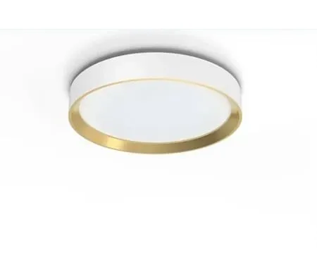 PHILIPS Plafonjera Hanno LED 24W 27K bela