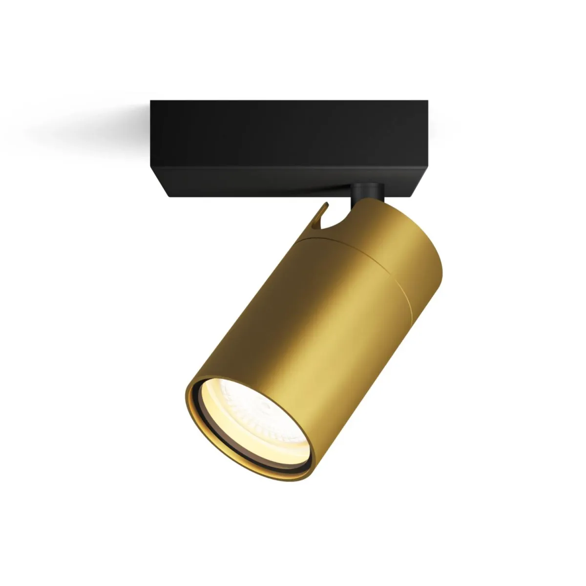 PHILIPS Spot lampa Idris GU10 1x5W IP44