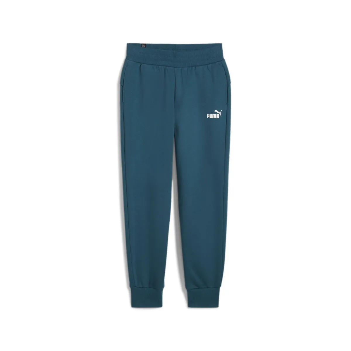 PUMA Puma donji deo trenerke trenerke ess sweatpants fl cl (s) W