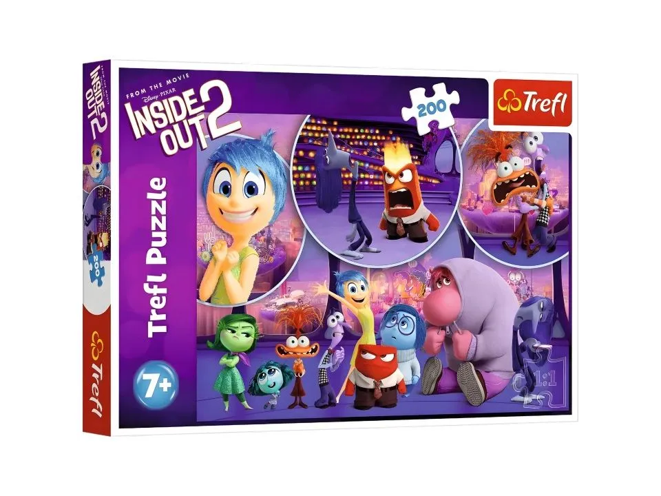 Puzzle 200 inside 2 out