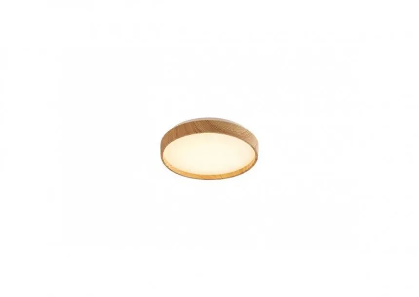 Rabalux Plafonjera Leana2 LED 12W bukva (71143)