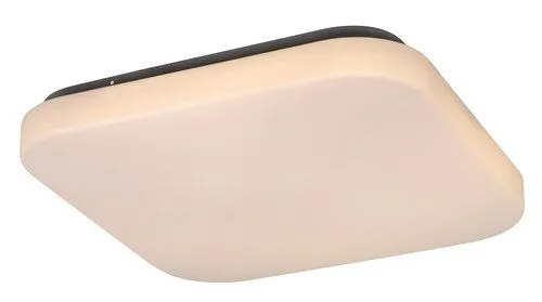 Rabalux Plafonjera Rob LED 20W bela (3340)