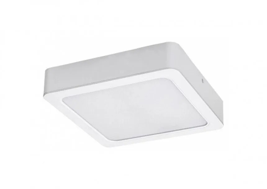 Rabalux Ugradna i nadgradna rasveta Shaun2 LED 24W bela (71209)