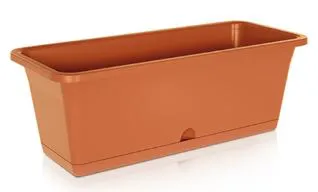Saksija Camelia 50X18X17Cm Terakota