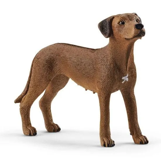 SCHLEICH Pas, Rodezijski ridžbek