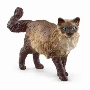 Schleich Ragdol macka