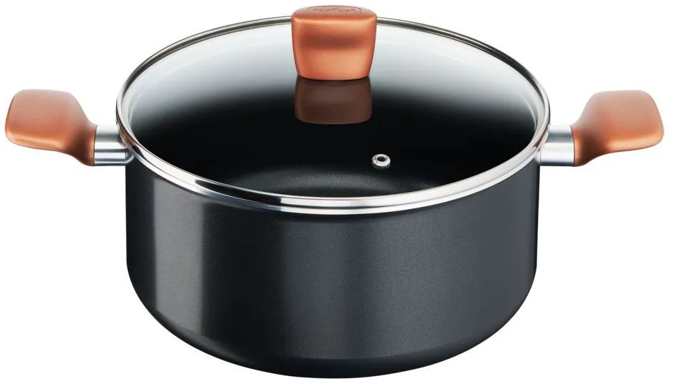 TEFAL Šerpa sa poklopcem 24cm B2554602 EXPRESS
