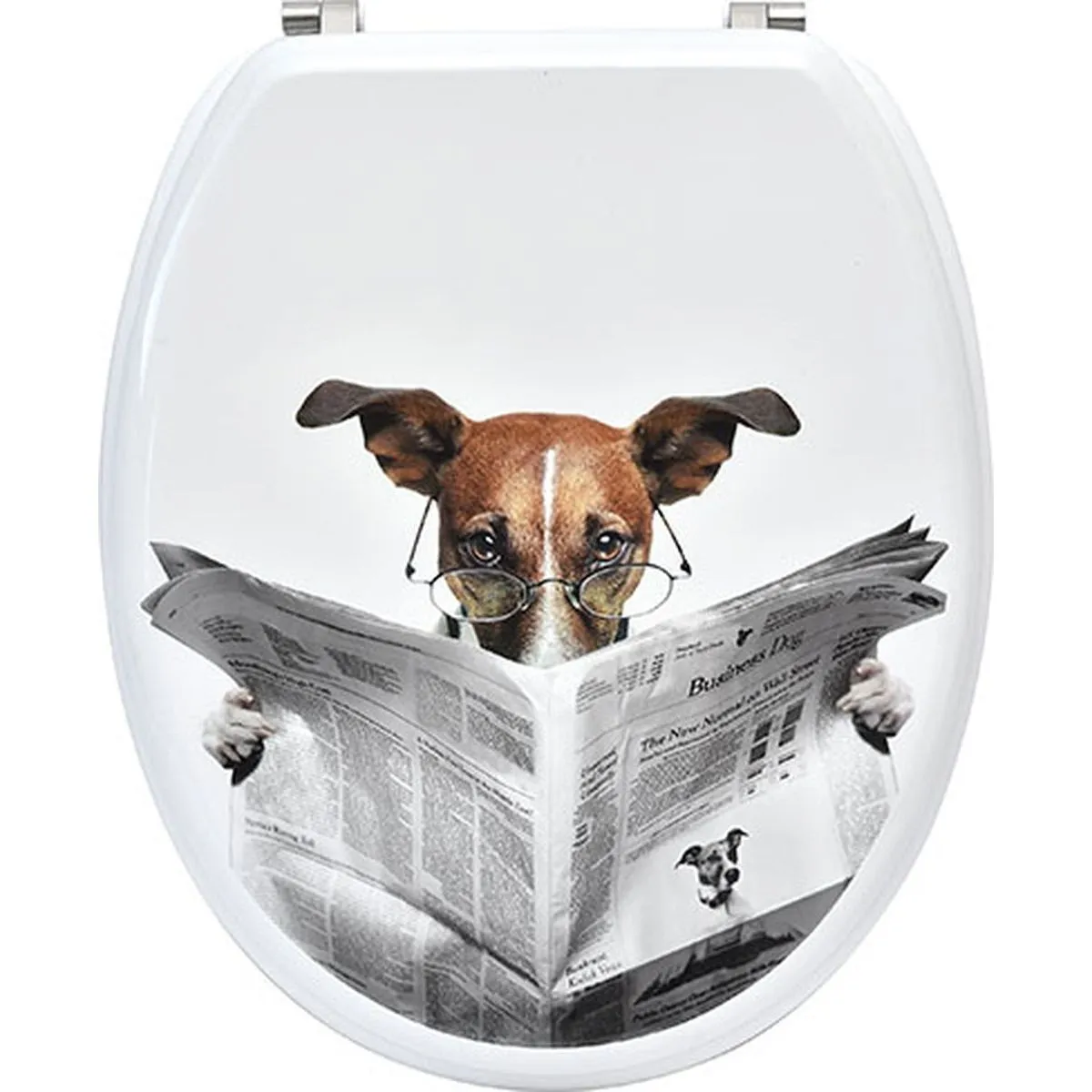 TENDANCE WC daska Pas