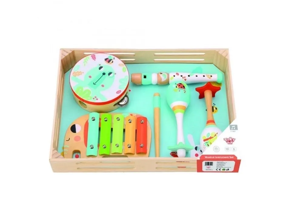 Tooky toy muzički instrument tf567