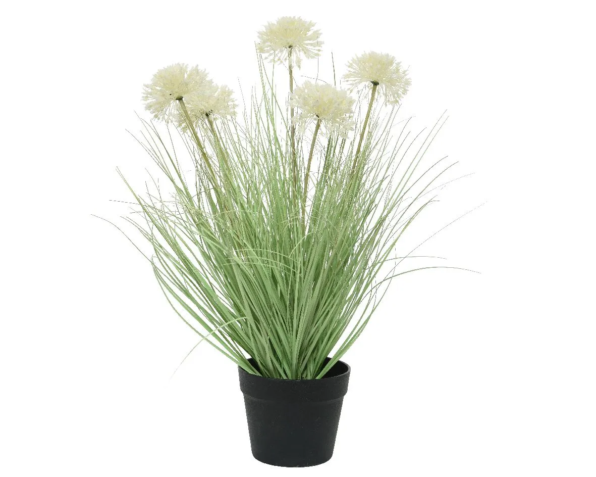 Ukrasna veštačka biljka Allium u saksiji