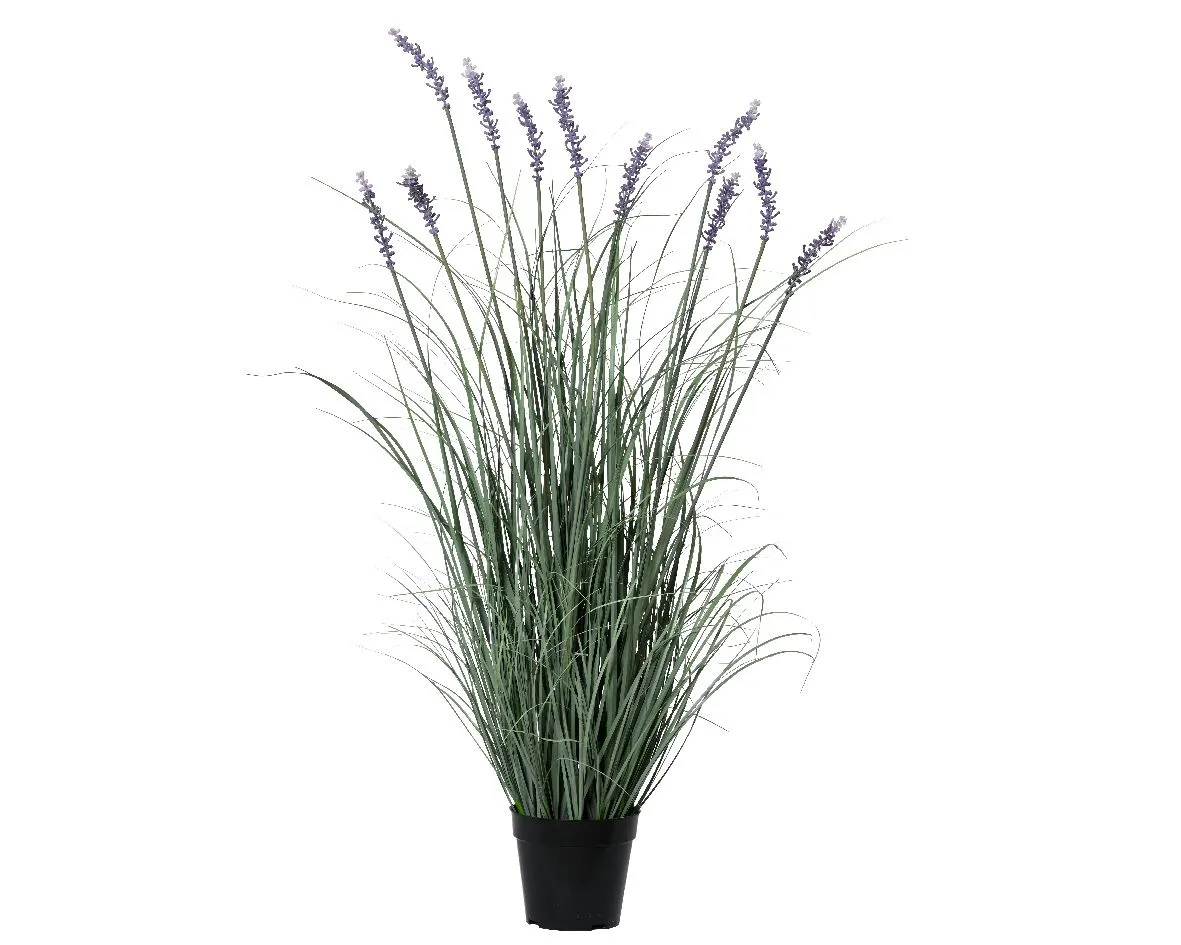 Ukrasna veštačka biljka Lavanda u saksiji