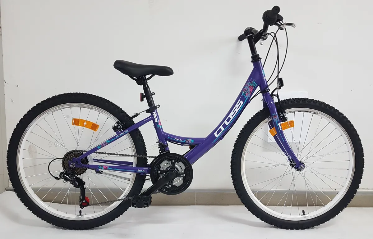 ULTRA 24 CROSS ALISSA Purple 2022