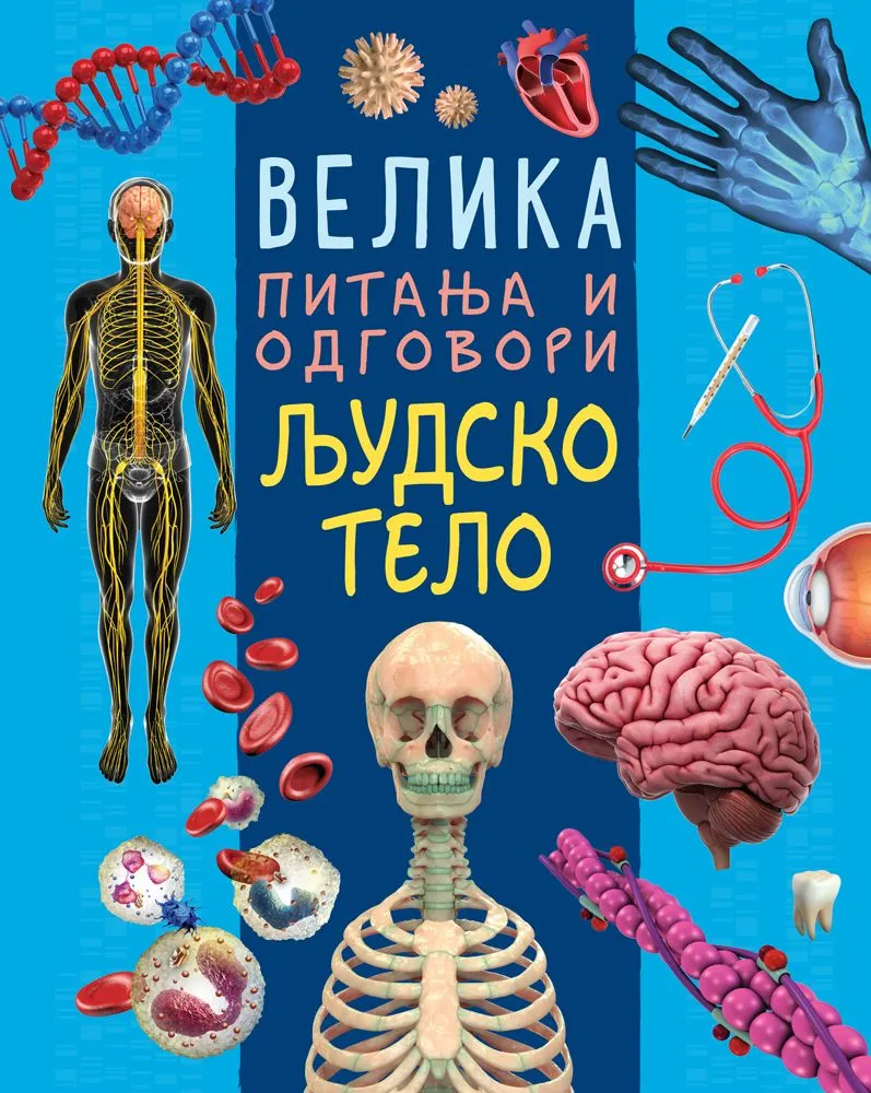 Velika pitanja i odgovori: Ljudsko telo