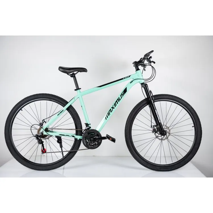 WINNER BIKE BIC. 29/21 MAXIMUS GREEN