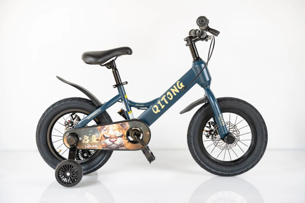 WINNER BIKE BIC.14-TN25R93-BLUE