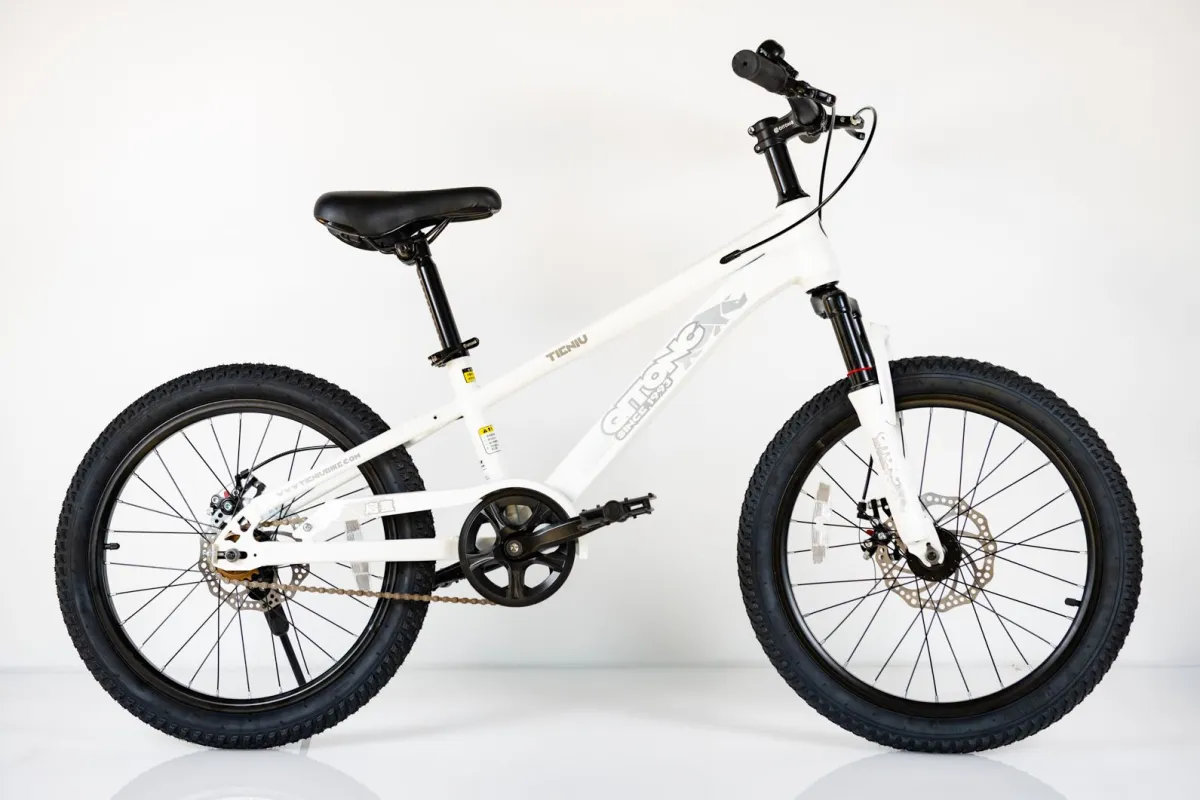 WINNER BIKE BIC.20/1-TN26Q03-WHITE