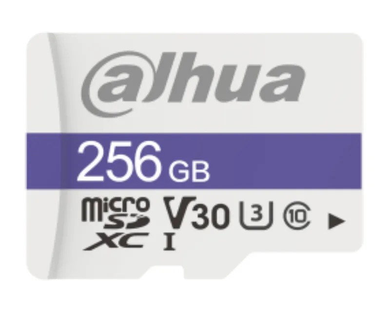 DAHUA C100 MicroSDHC 256GB U1 DHI-TF-C100/256GB