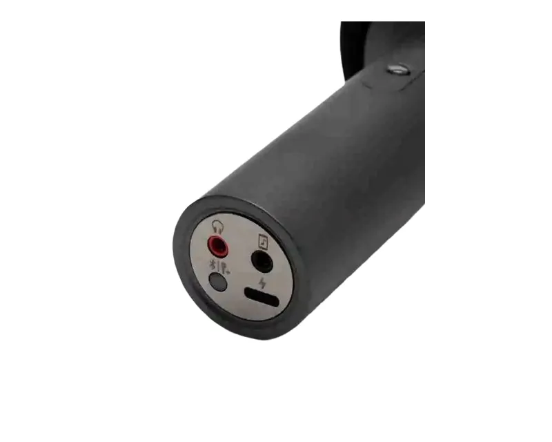 Karaoke Microphone (BHR6752GL) 
