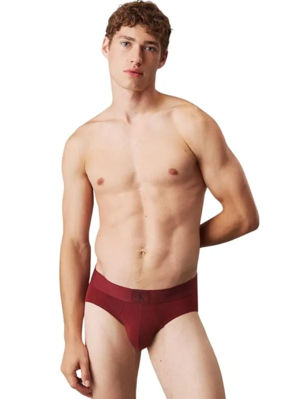 Calvin Klein - Bordo muške gaće