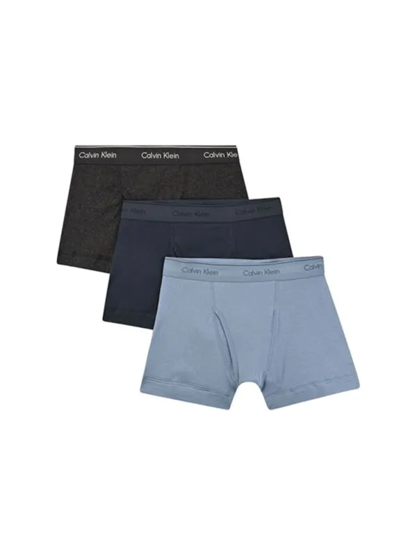 Calvin Klein - Pamučne muške bokserice