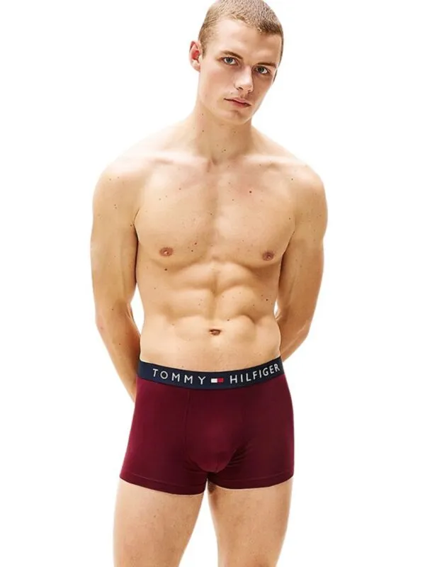 Tommy Hilfiger - Bordo muške bokserice