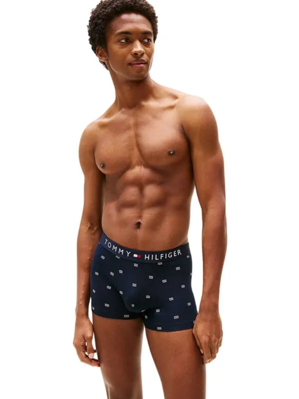 Tommy Hilfiger - Muške bokserice sa printom