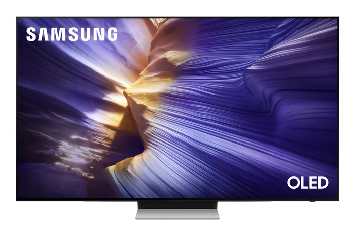 SAMSUNG TV QE48S90FAEXXH