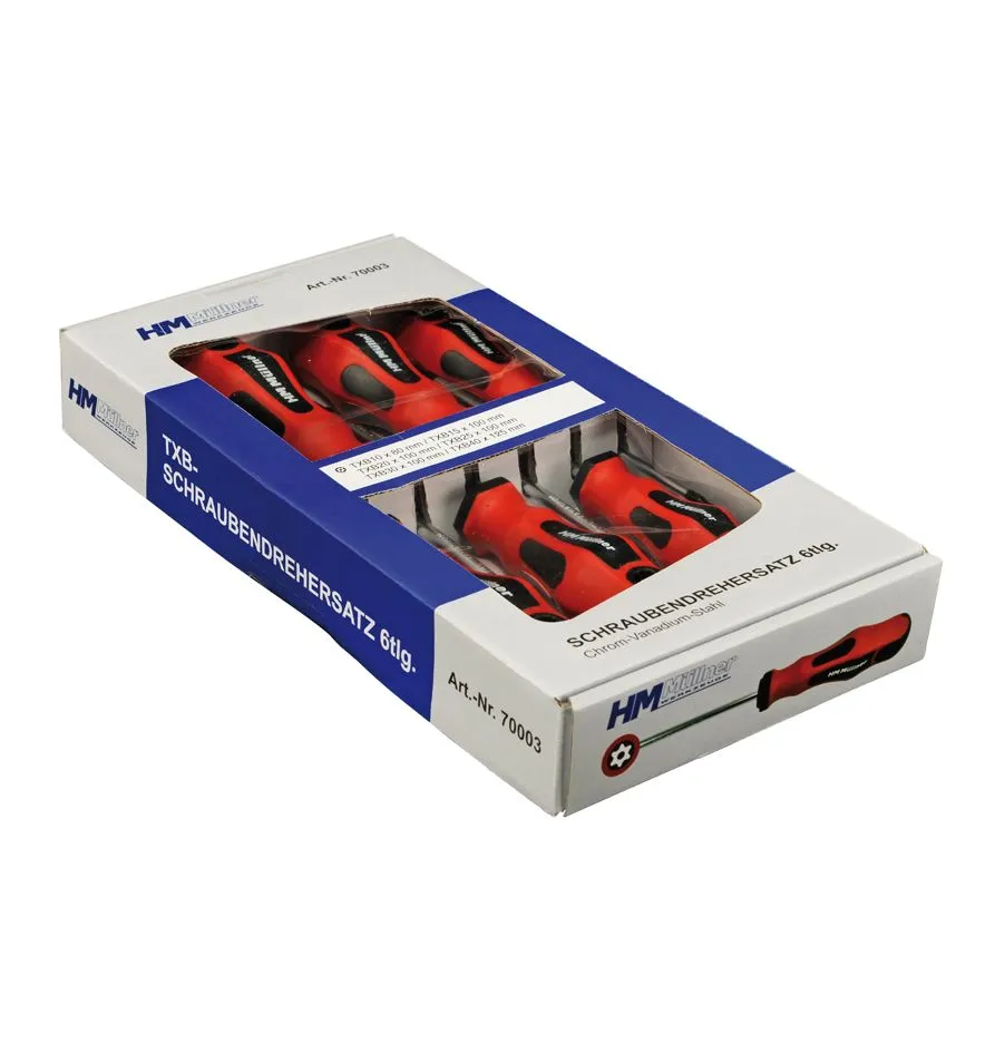 Set TXB odvijača (torx sa rupom) 6-delni HM Müllner (70003)