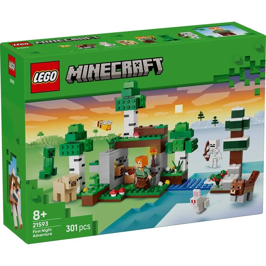LEGO Minecraft The First Night Adventure 21593