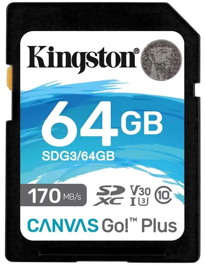 Memorijska kartica Kingston 64GB SDG3/64GB