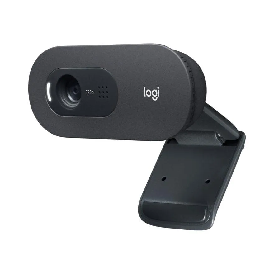Web kamera Logitech C505E Long Range HD Black