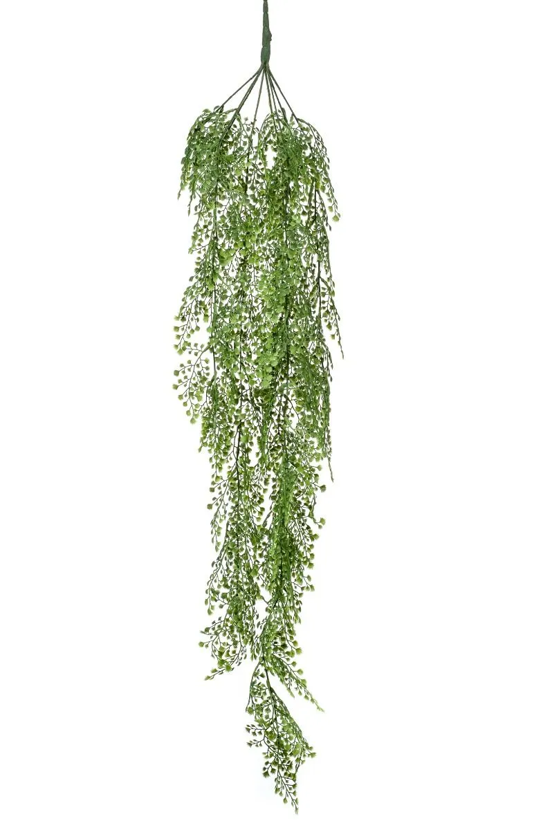 Adianthum Viseći Zeleni - 105 cm