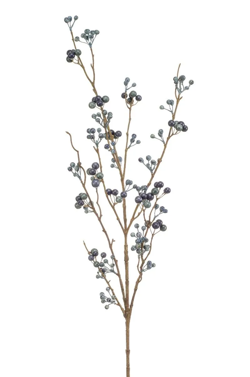 Berry Grana Plava - 100 cm