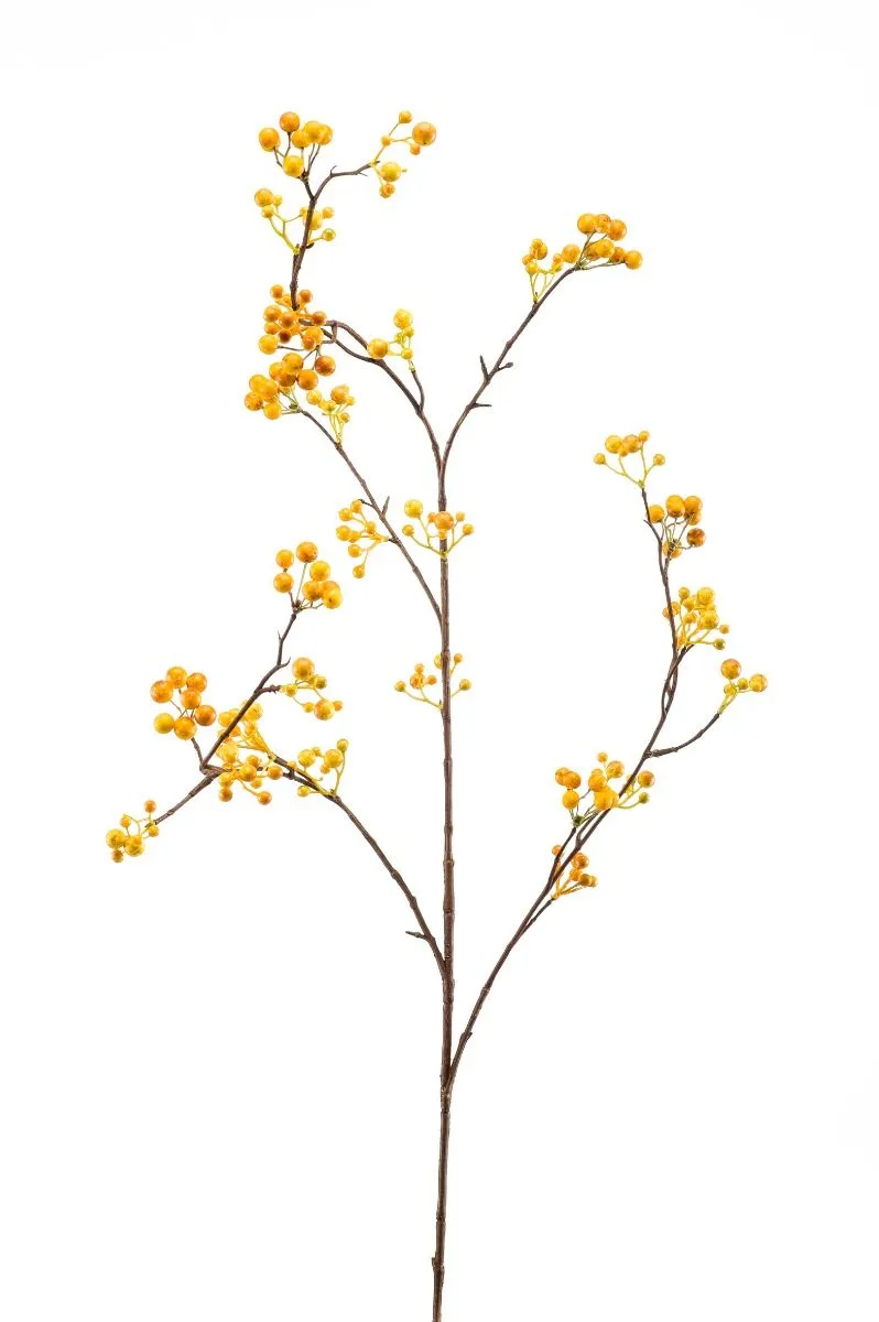 Berry Grana Žuta - 120 cm