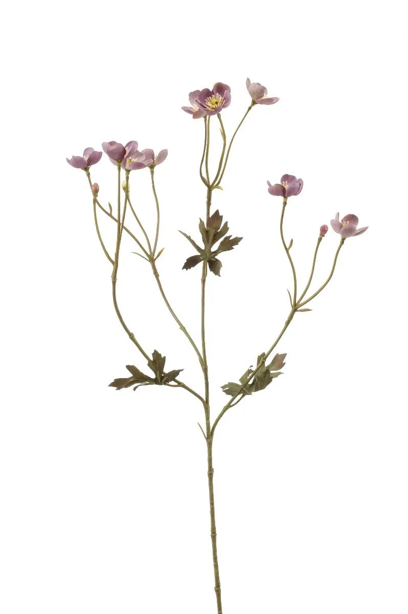 Buttercup Grana Ljubičasta - 63 cm