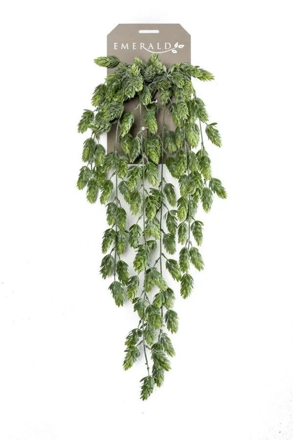 Hmelj Viseći - 6 Grana - 70 cm