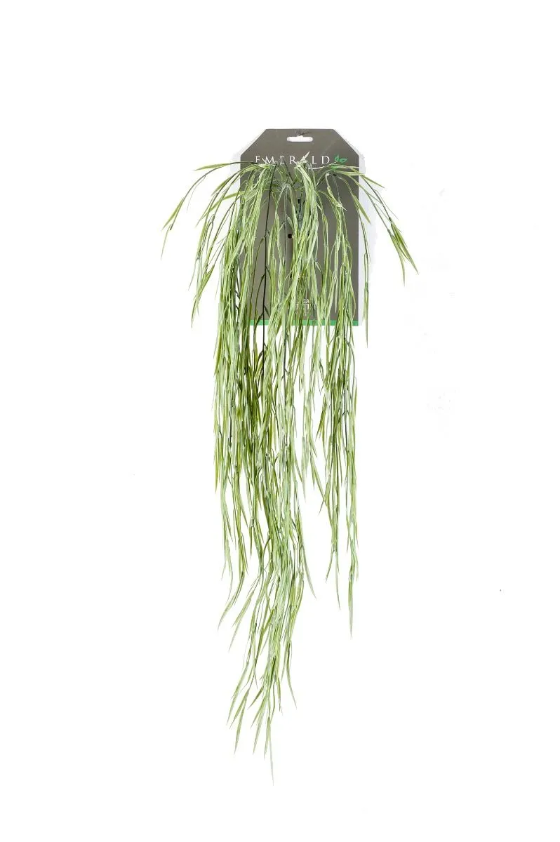 Hoya Viseći Žbun - 85 cm
