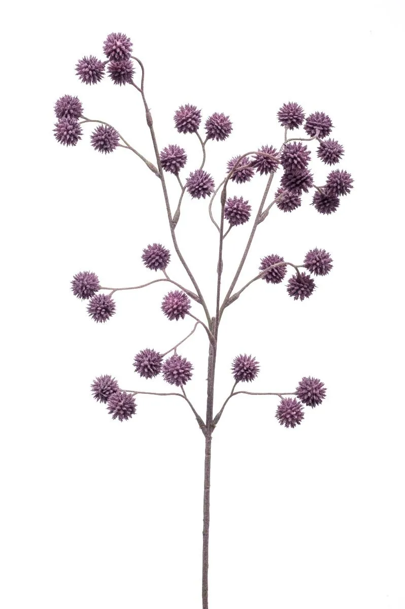 Čičak Grana Ljubičasta - 70 cm