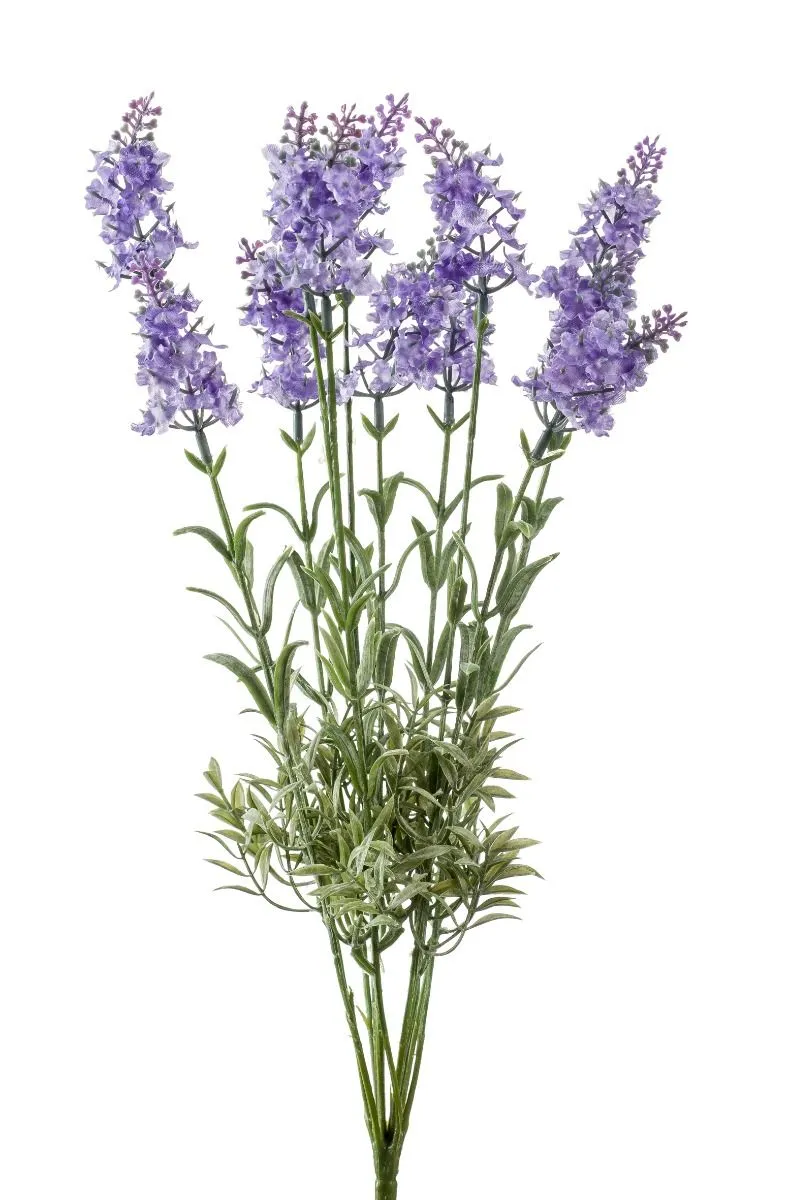 Lavanda Svežanj - 70 cm