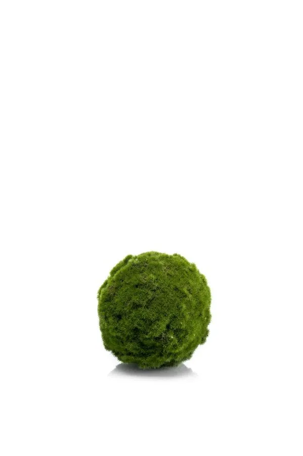 Mahovina Lopta Zelena - Prečnik 15 cm