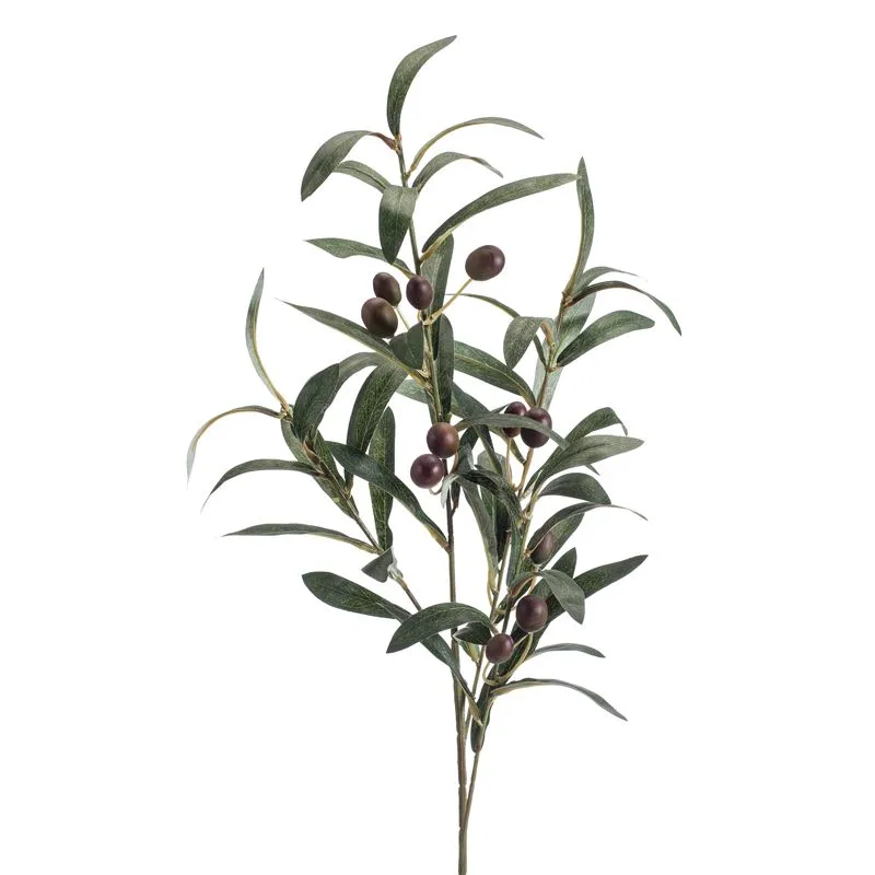 Maslina - 4 Grane - 75 cm